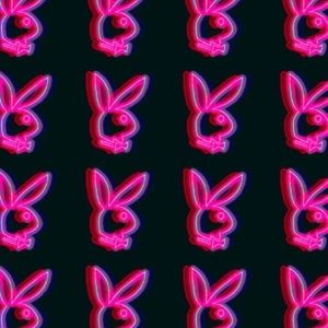 Meet your Posher, Laila